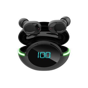 TWS0010